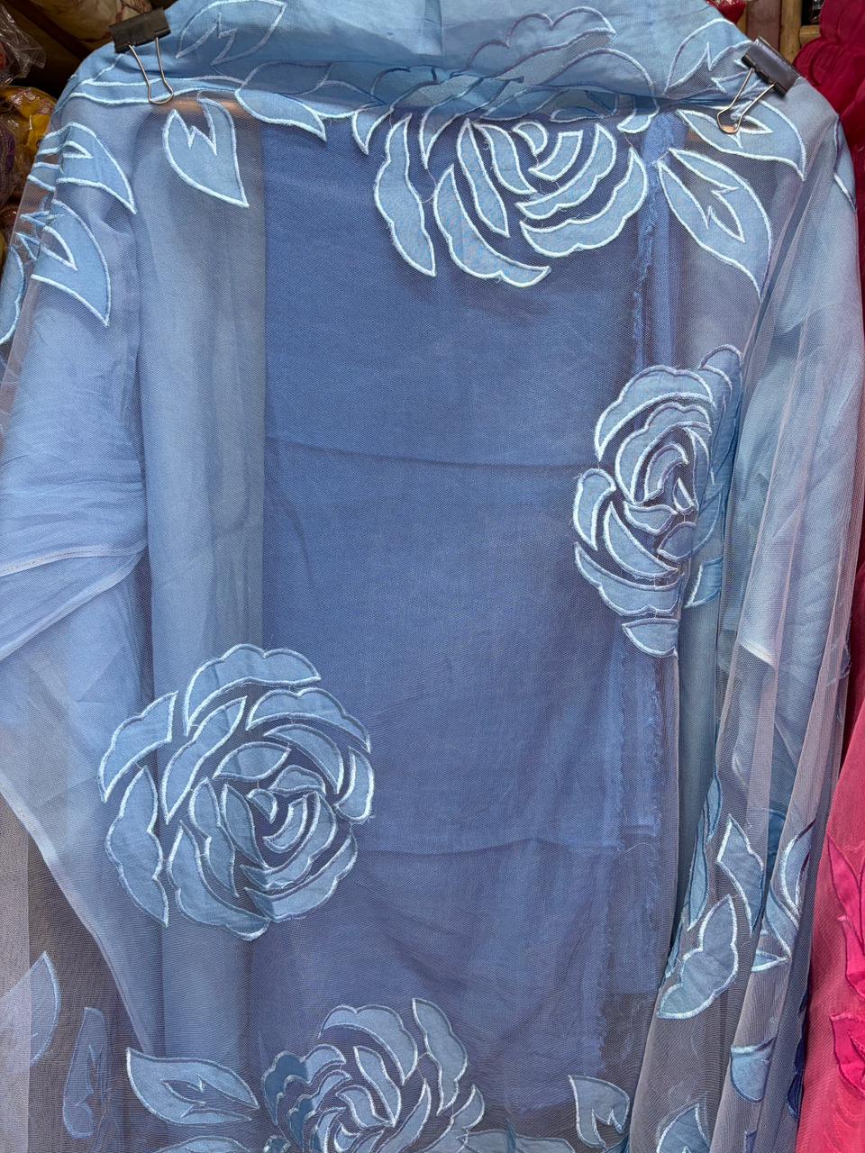 Beautiful Dual Shade Organza Applique Suits