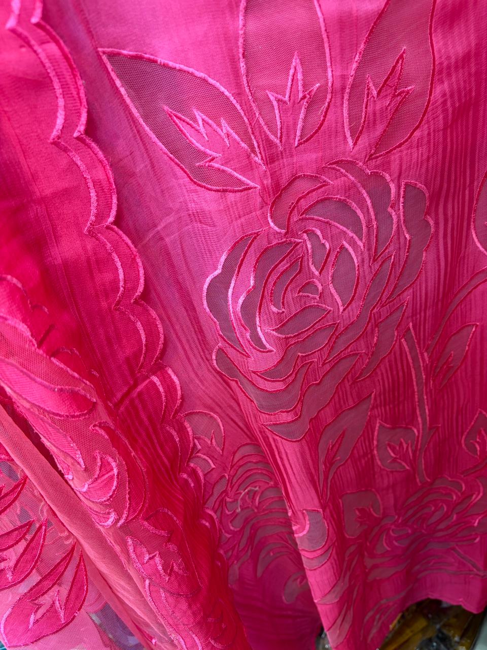 Beautiful Dual Shade Organza Applique Suits