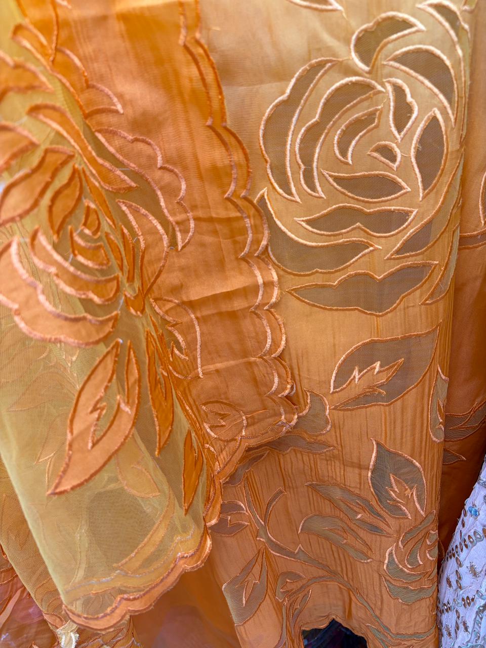 Beautiful Dual Shade Organza Applique Suits