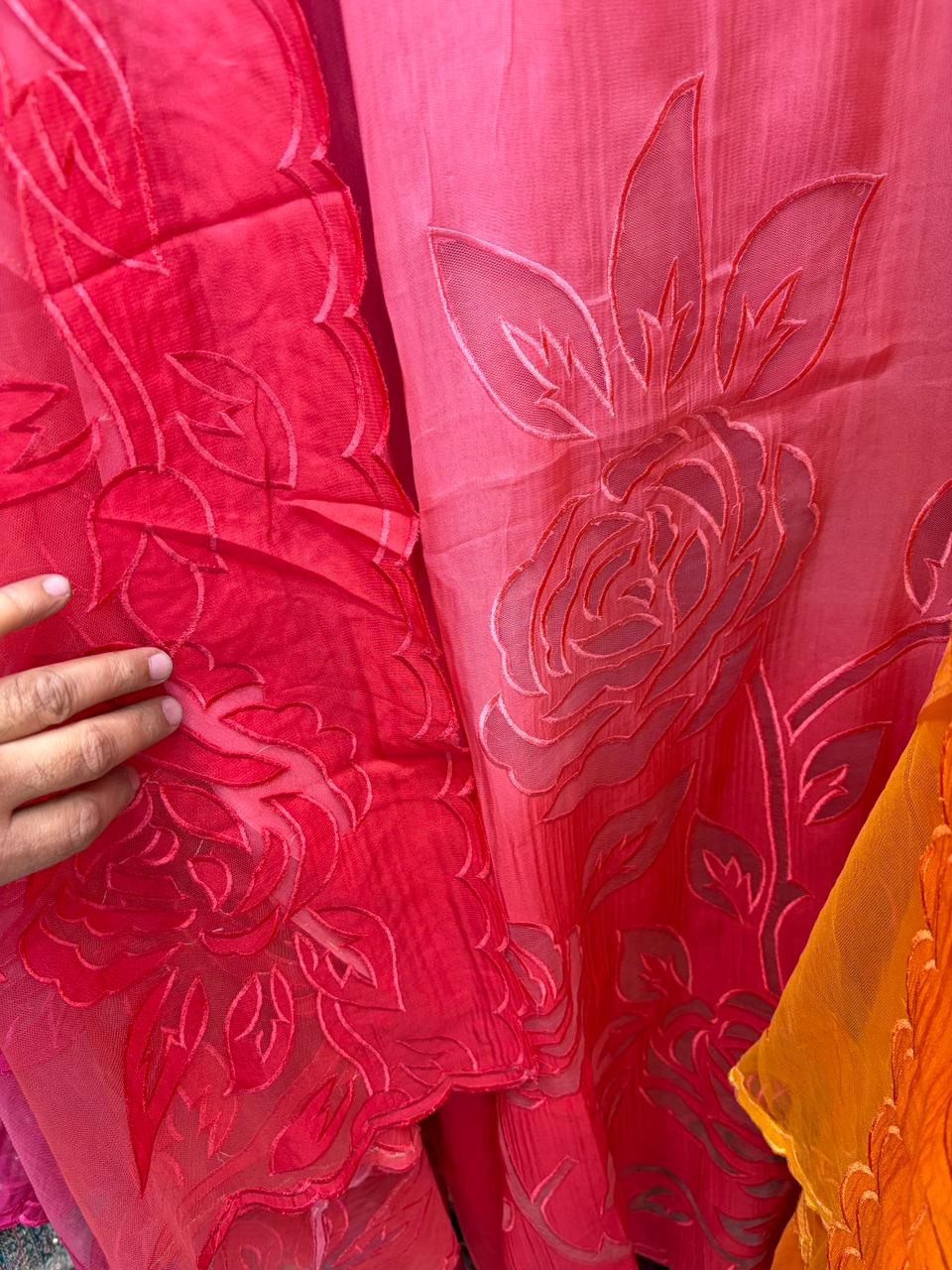 Beautiful Dual Shade Organza Applique Suits