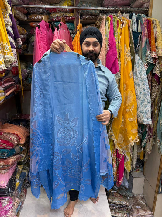 Beautiful Dual Shade Organza Applique Suits