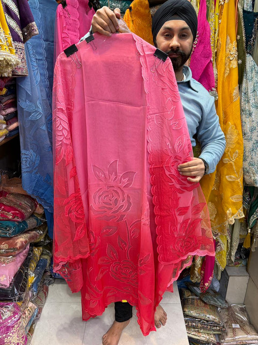 Beautiful Dual Shade Organza Applique Suits